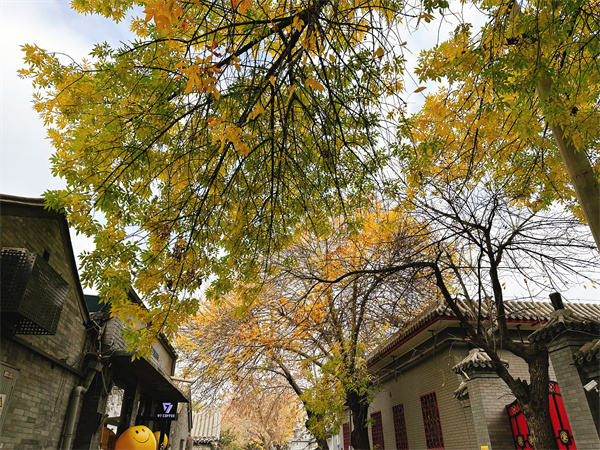 北京山水铂宫公寓(北京山水广场公寓酒店式公寓)北锣鼓巷胡同